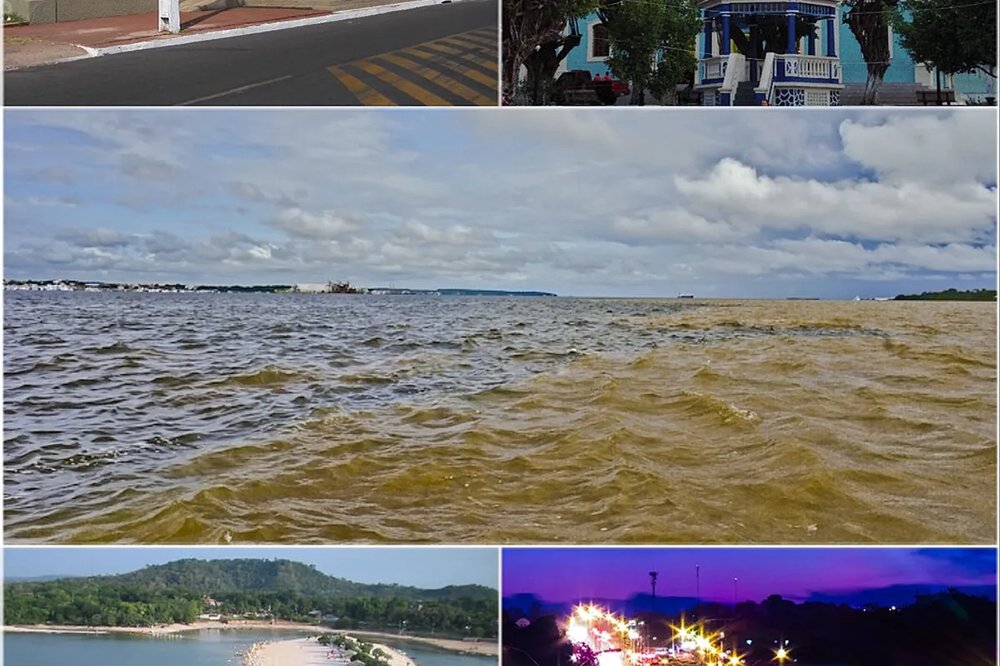 Ver leilões em Santarém