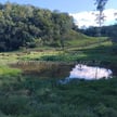 Imóvel · Jaraguá Do Sul