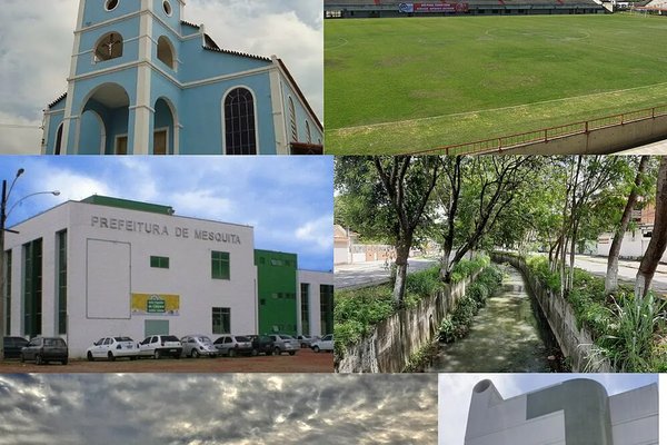 Ver leilões em Mesquita