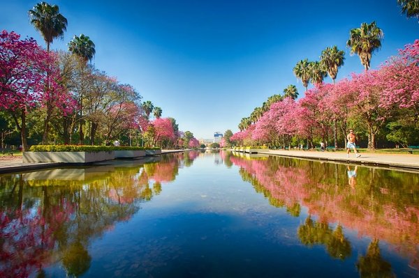 Ver leilões em Porto Alegre