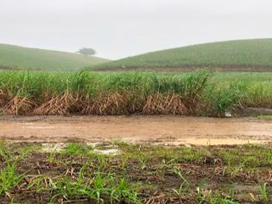 Imagem do leilão Leilão de Terreno com Área Superficial de 233,96m² no Loteamento Novo Horizonte III em Ribeirão - Pernambuco