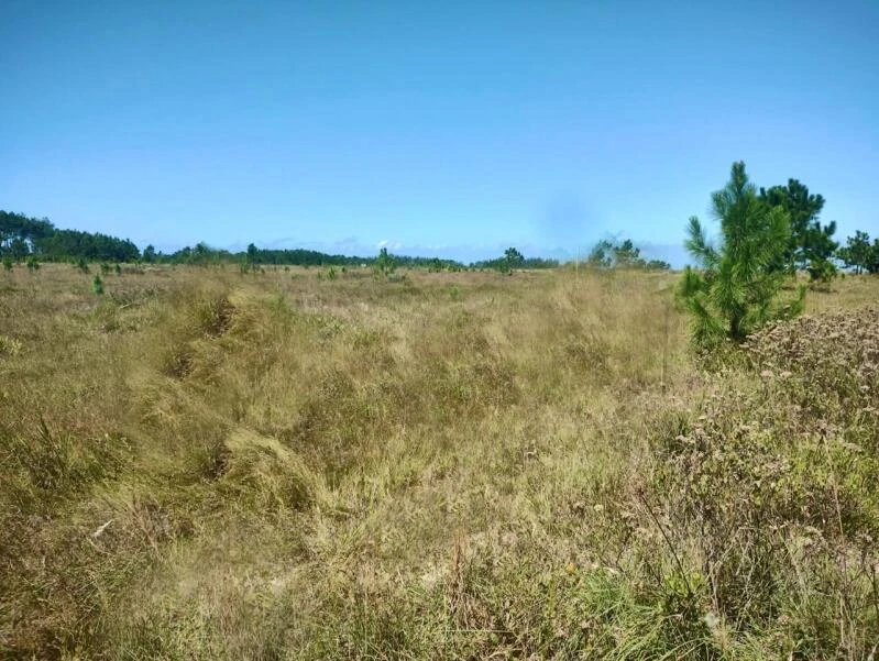 Terreno de 275m² cada na Praia Village das Palmeiras em Balneário Gaivota - Santa Catarina