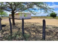 Imagem do leilão Leilão de Sítio com 34,09 Hectares e Casa de Aproximadamente 87m² em Afrânio - Pernambuco